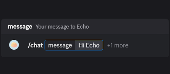 Calling Echo using the /chat command in Discord